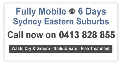 Mobile Dog Washing, Grooming, Sydney NSW